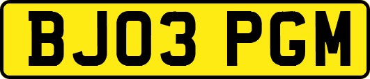 BJ03PGM