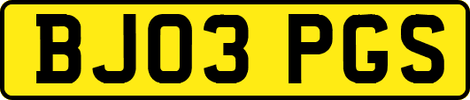 BJ03PGS