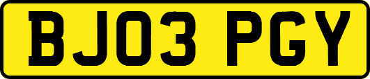 BJ03PGY