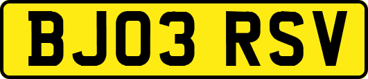 BJ03RSV