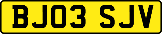 BJ03SJV