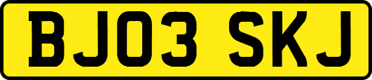 BJ03SKJ