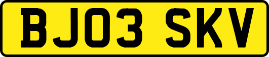 BJ03SKV