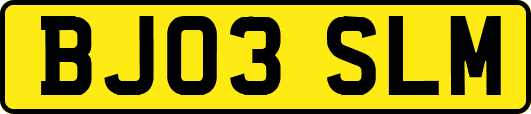 BJ03SLM
