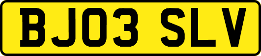 BJ03SLV