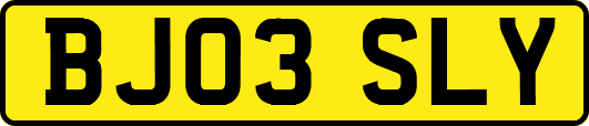 BJ03SLY