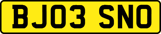 BJ03SNO