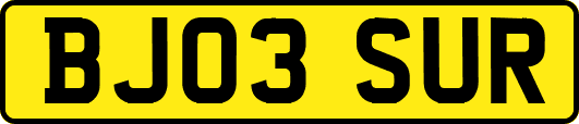 BJ03SUR