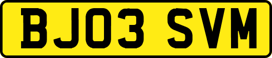 BJ03SVM
