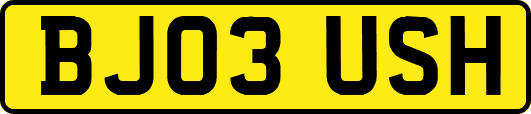 BJ03USH
