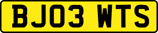 BJ03WTS