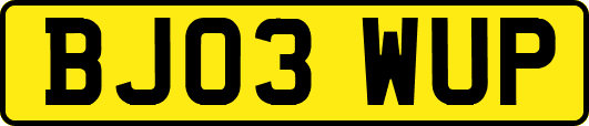 BJ03WUP