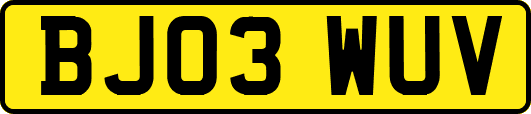 BJ03WUV