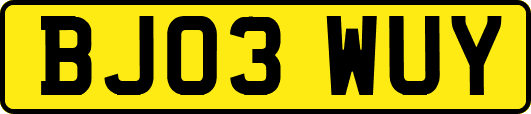 BJ03WUY