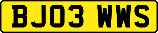 BJ03WWS