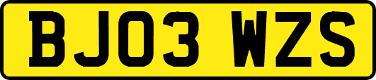 BJ03WZS