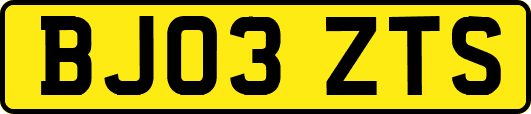 BJ03ZTS