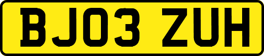 BJ03ZUH