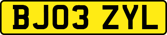 BJ03ZYL