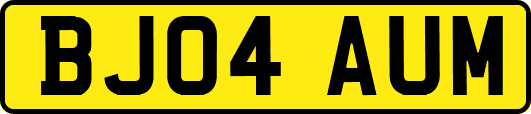 BJ04AUM
