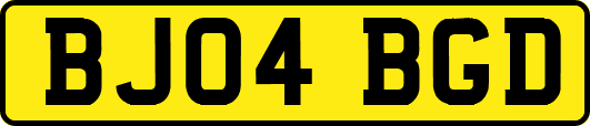 BJ04BGD