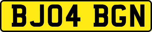 BJ04BGN