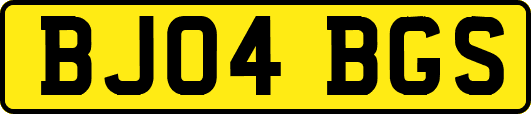 BJ04BGS