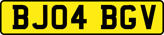 BJ04BGV