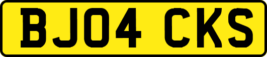 BJ04CKS