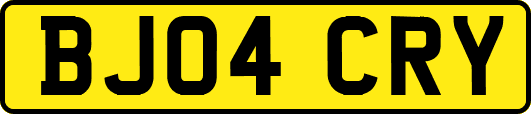 BJ04CRY