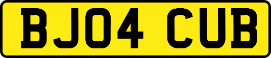 BJ04CUB