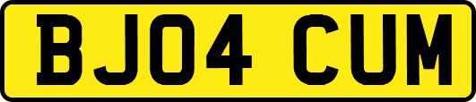 BJ04CUM