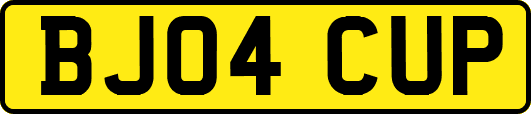 BJ04CUP