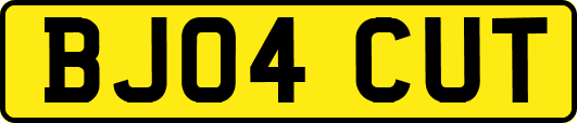 BJ04CUT