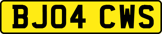 BJ04CWS