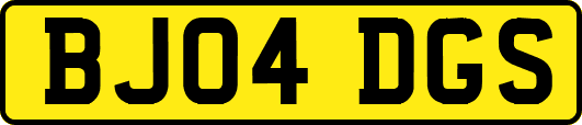 BJ04DGS