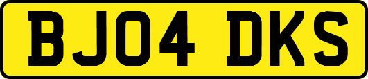BJ04DKS