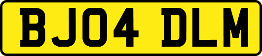 BJ04DLM