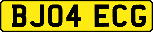 BJ04ECG