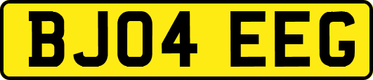BJ04EEG