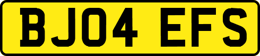 BJ04EFS
