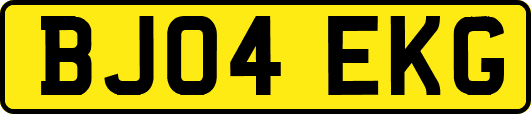 BJ04EKG