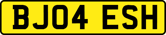 BJ04ESH
