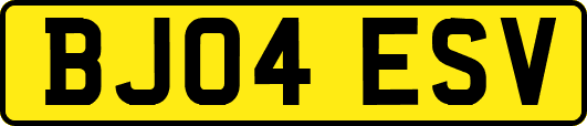 BJ04ESV