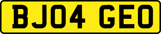 BJ04GEO