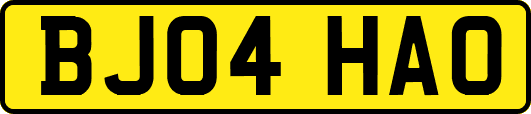 BJ04HAO