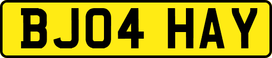 BJ04HAY