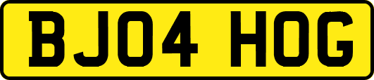 BJ04HOG