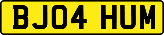 BJ04HUM
