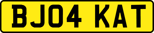 BJ04KAT